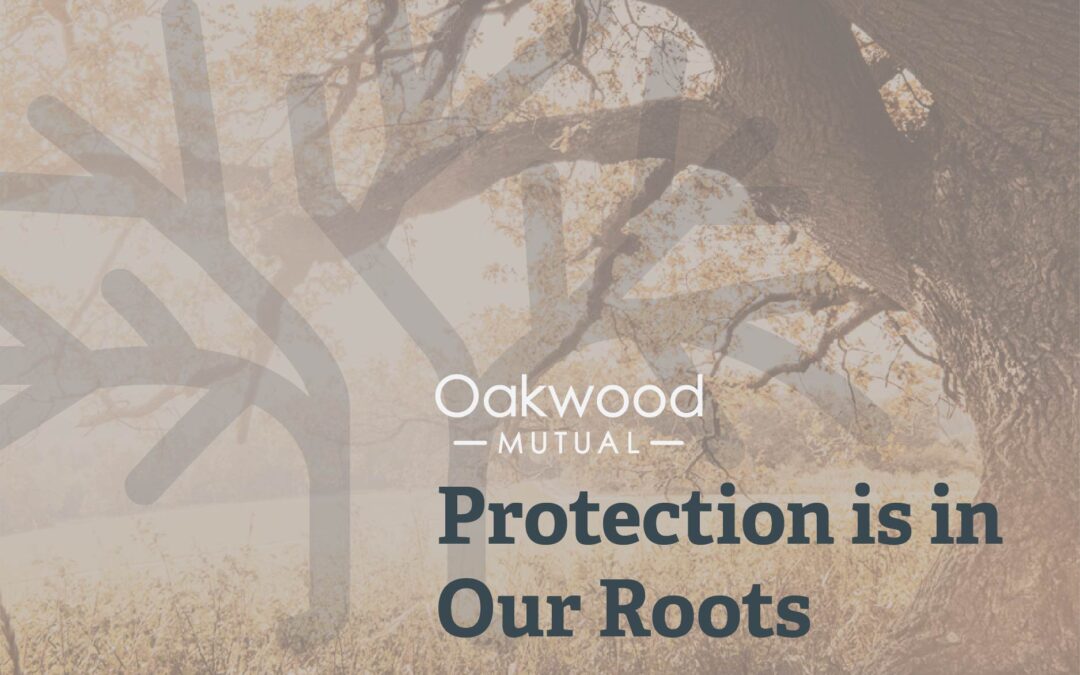 Protection Is in Our Roots