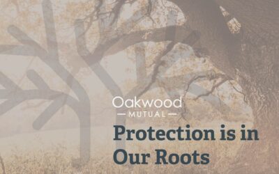 Protection Is in Our Roots