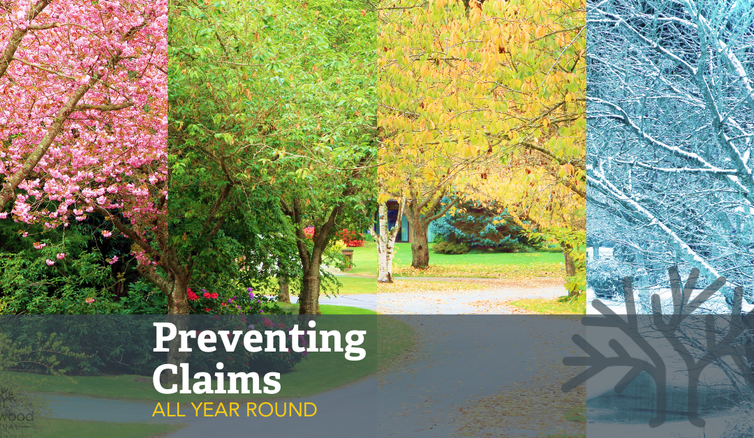 ­­Preventing Insurance Claims All Year