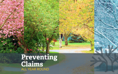 ­­Preventing Insurance Claims All Year