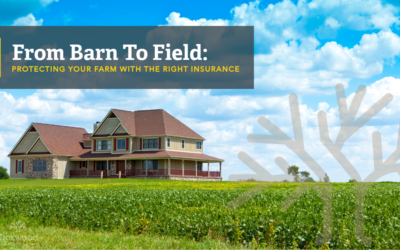 From Barn To Field: Protecting Your Farm With The Right Insurance