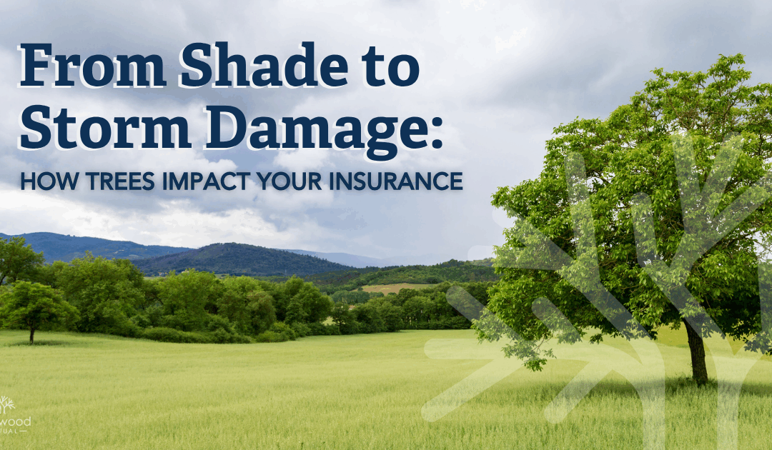 How Trees Impact Your Insurance