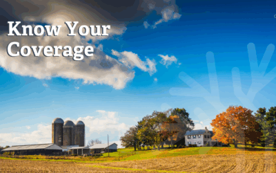 How Trees Impact Your Insurance
